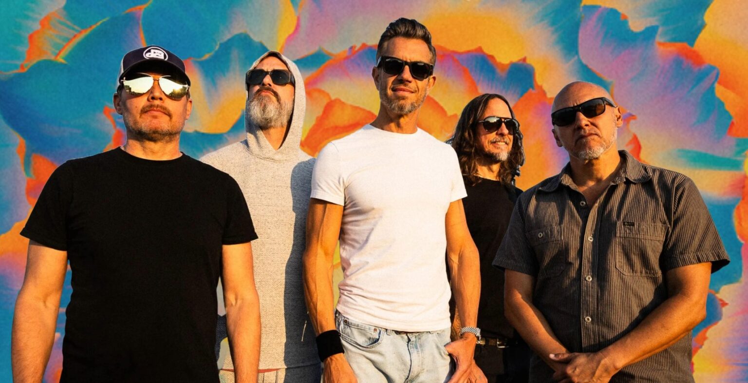 311 live performance
